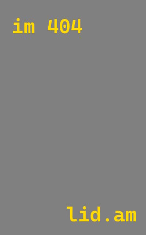 Импорт автомобилей Skoda из Китая с доставкой в Ишим